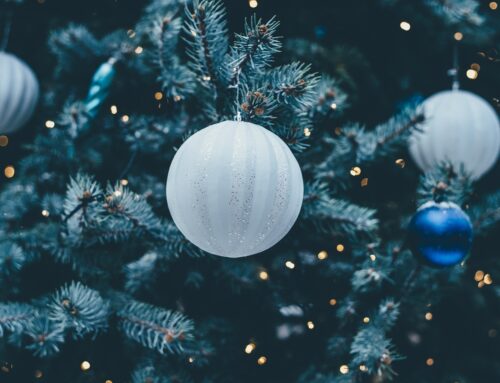 Christmas Hours 2025